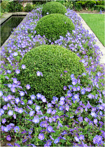 Palmerston Garden